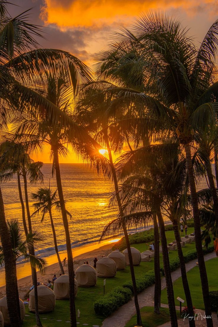 Ashu451724's tweet image. 