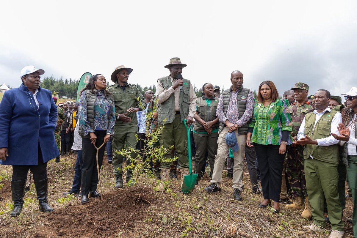 StandardKenya's tweet photo. President William Ruto during the Mau Forest Complex Integrated Conservation and Livelihood Improvement Programme launch, in Nakuru county https://t.co/8g5N3iqwBq