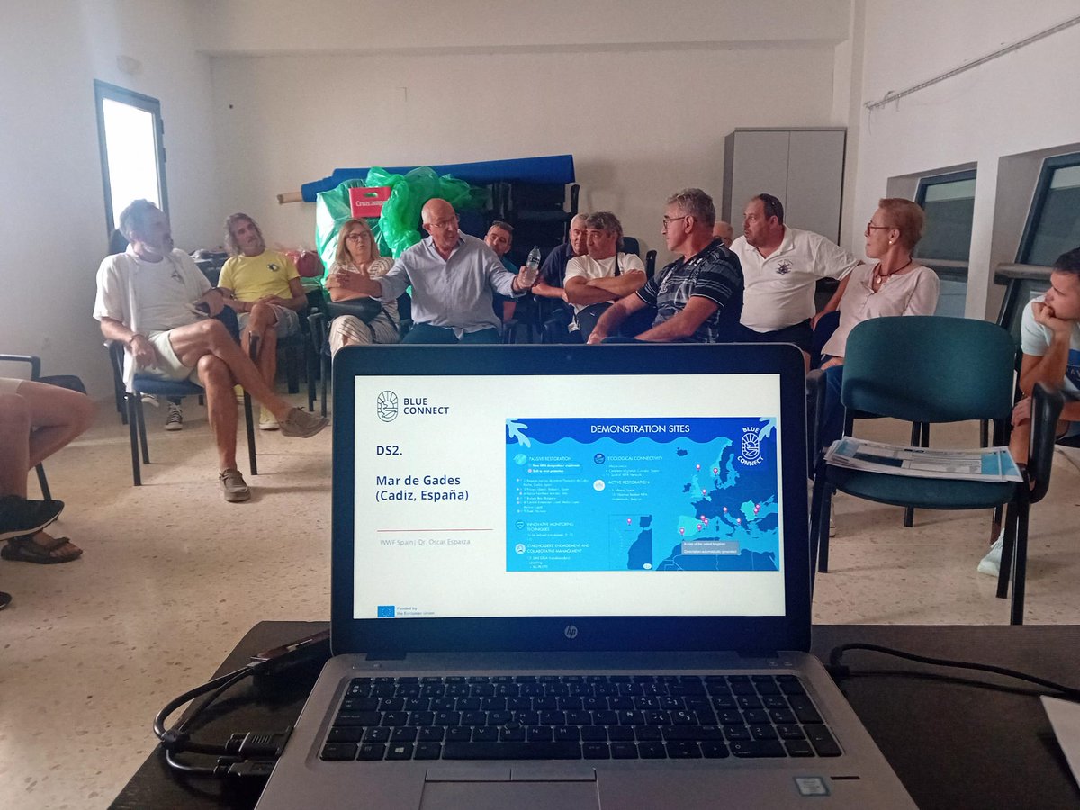 Opp72Pesca's tweet image. 🔬 El proyecto #LIFEECOREST, liderado por la bióloga Cristina Martín, trabaja en la restauración de hábitats marinos degradados: corales, gorgonias, esponjas… organismos que parecen plantas 🌿, pero son animales que forman auténticos bosques submarinos. 🐚

#RestauraciónMarina