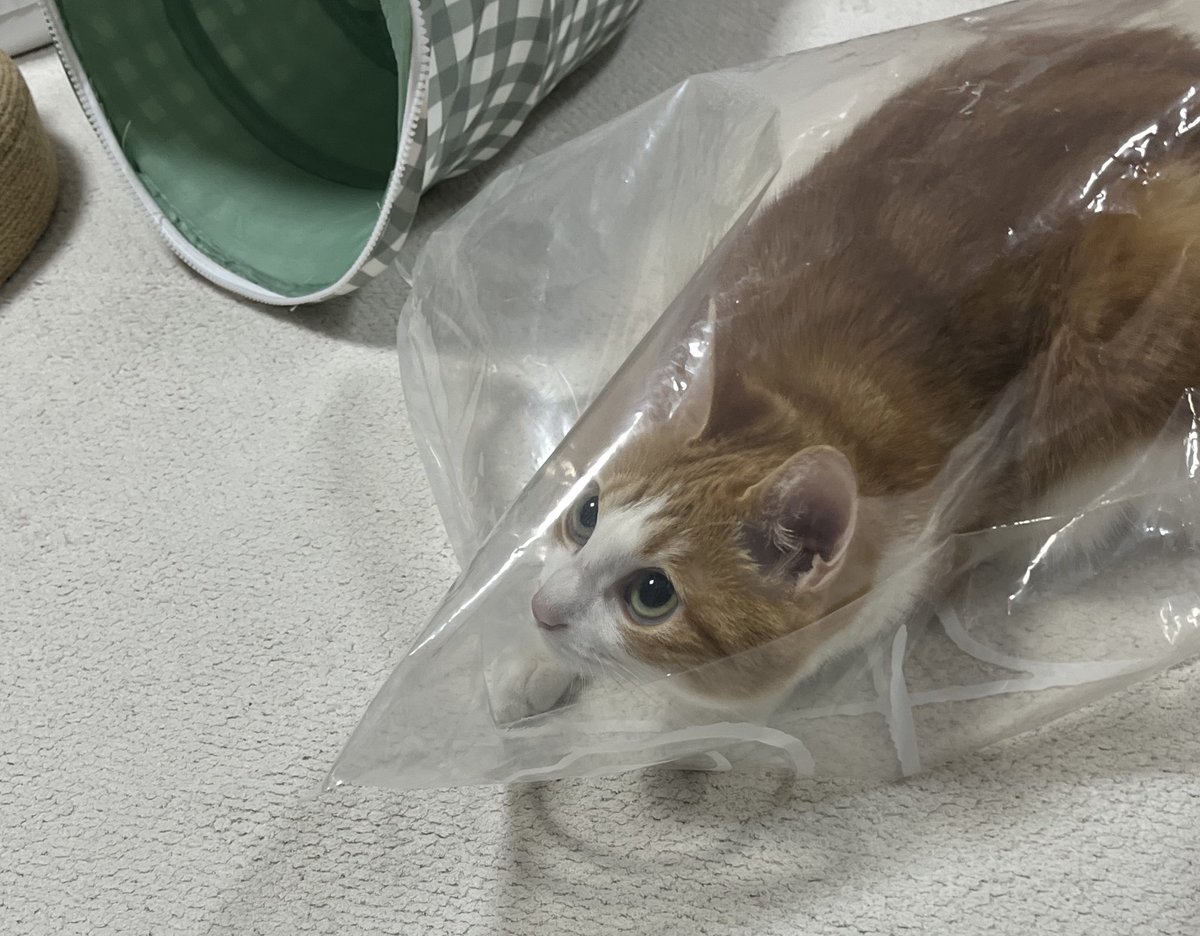 그래 알겠다고 꾸무꺼라고