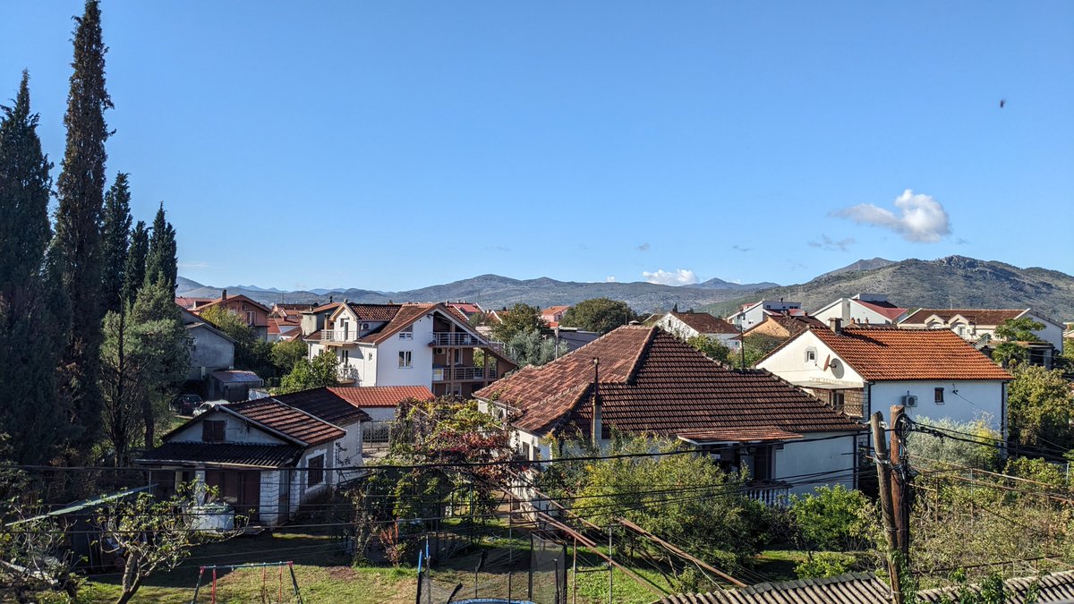 Ban Markovic tweet media