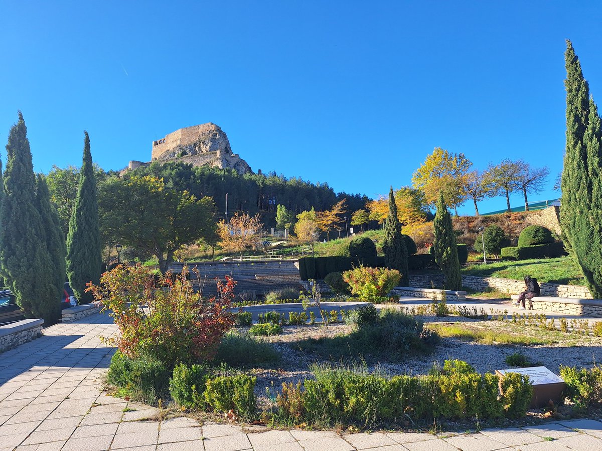 Observatori #Morella T. Mínima 4,6  ⁰C, T. Mínima fàbrica  de Giner 1,7 ⁰C, 1022,1 hPa ,el cielo despejado. Buen lunes. 
 <a href="/AEMET_CValencia/">AEMET Comunitat Valenciana</a> <a href="/AlexMuozGarc/">Álex Muñoz 💯 🧡</a>
 <a href="/AlendaMavi/">Mavi Alenda Morán</a>  <a href="/fran40tf/">☀⛅️️fran40 ☔️</a>
    <a href="/rasalvi49/">Ramon Salvi</a>   <a href="/Fran_Lorenzo95/">Fran Lorenzo</a>  <a href="/minervagra/">Minerva GG</a> <a href="/sibilafc/">Silvia Ferrer</a> <a href="/fran40tf/">☀⛅️️fran40 ☔️</a> <a href="/apuntoratge/">À Punt Oratge</a> <a href="/anamaria190977/">Ana María Herrero</a>