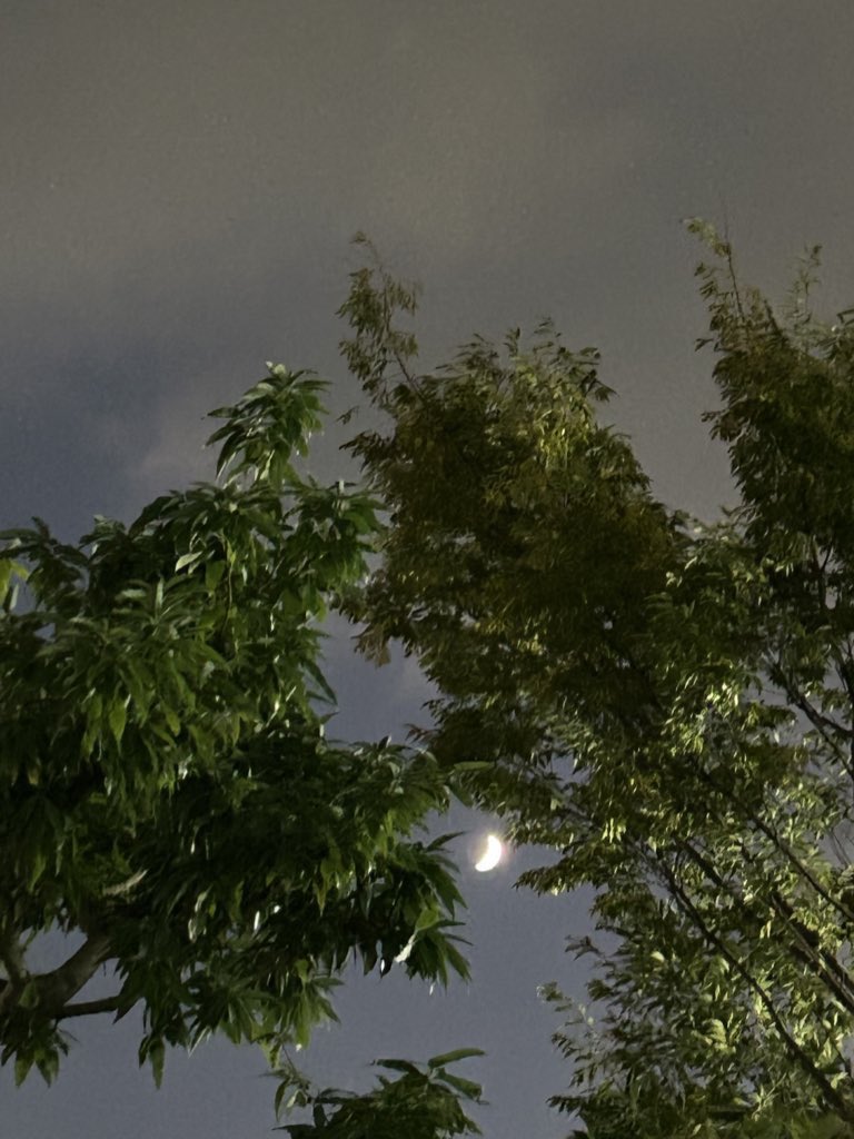 はぁちゃん🙂🎵👦🏻✨🙈 on X