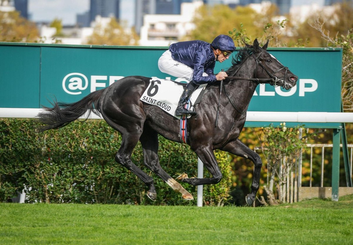 Ballydoyle Racing tweet media