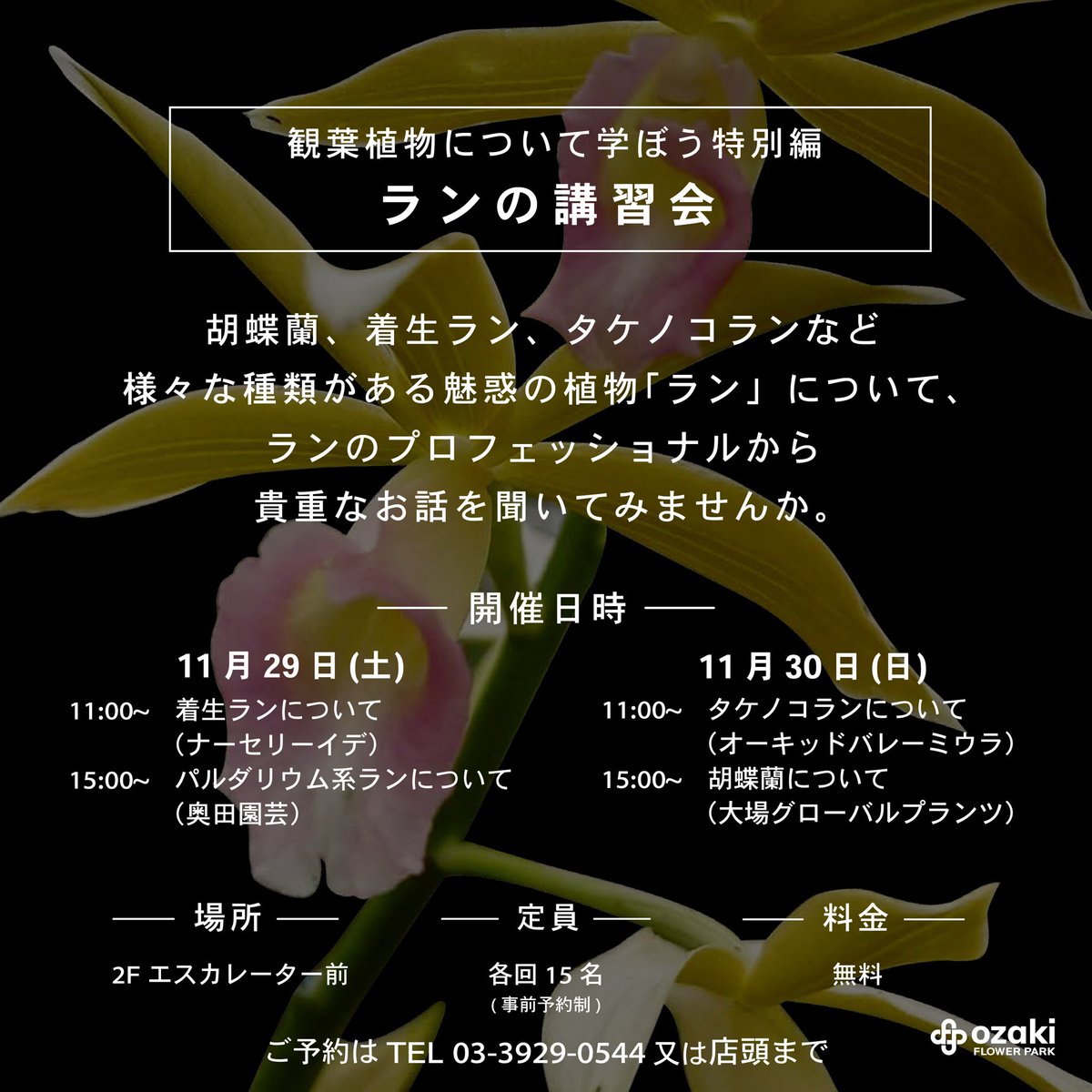 蘭花ページ 追加情報】100万輪の蘭に包まれる、国内最大級の“蘭の祭典” 「世界らん