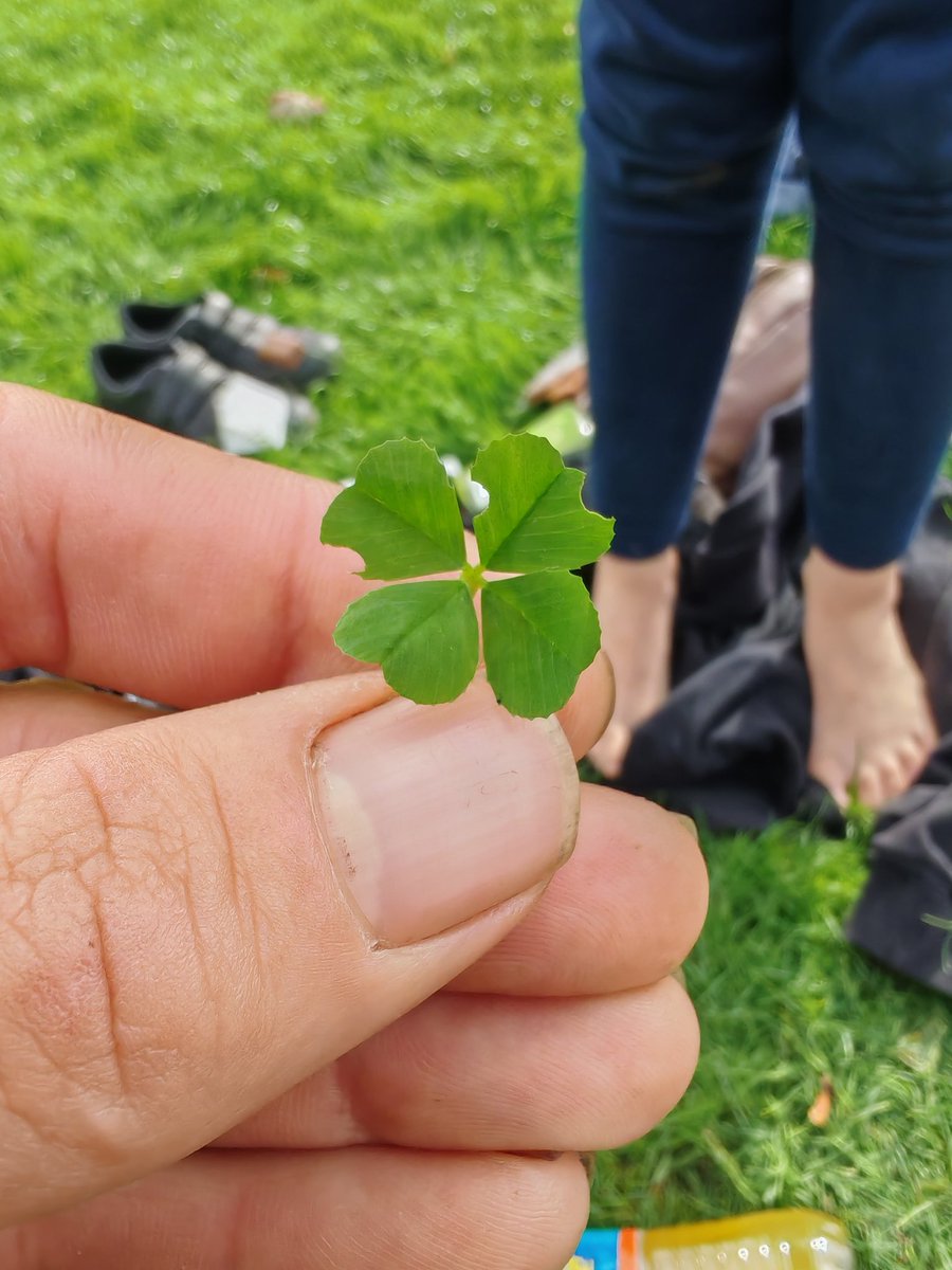 GM GM legends and degens. 

Weekends over so rover to find your lucky Clover 🍀