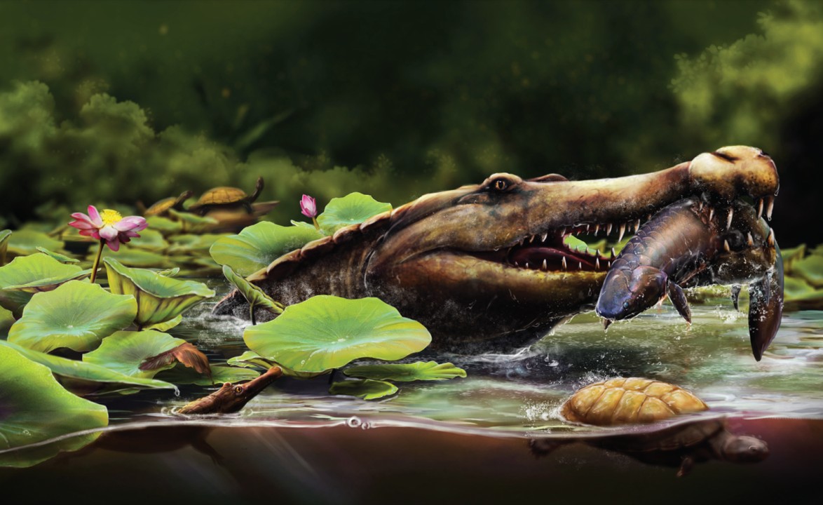 TwitiGalli's tweet image. Um dirossaurídeo primitivo (Wadisuchus kassabi gen. et sp. nov.) do Campaniano do Egito esclarece a origem e biogeografia dos Dyrosauridae academic.oup.com/zoolinnean/art…

🎨: Nathan Dehaut