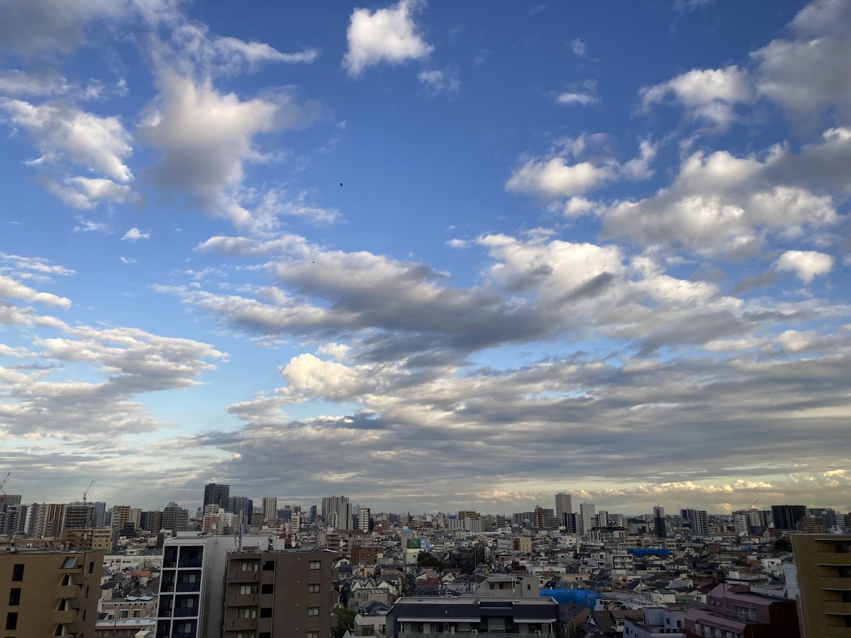 【misen2014さま】antique ✵ * アイスブルーリボンと鈴 羊さん 純情PAIN