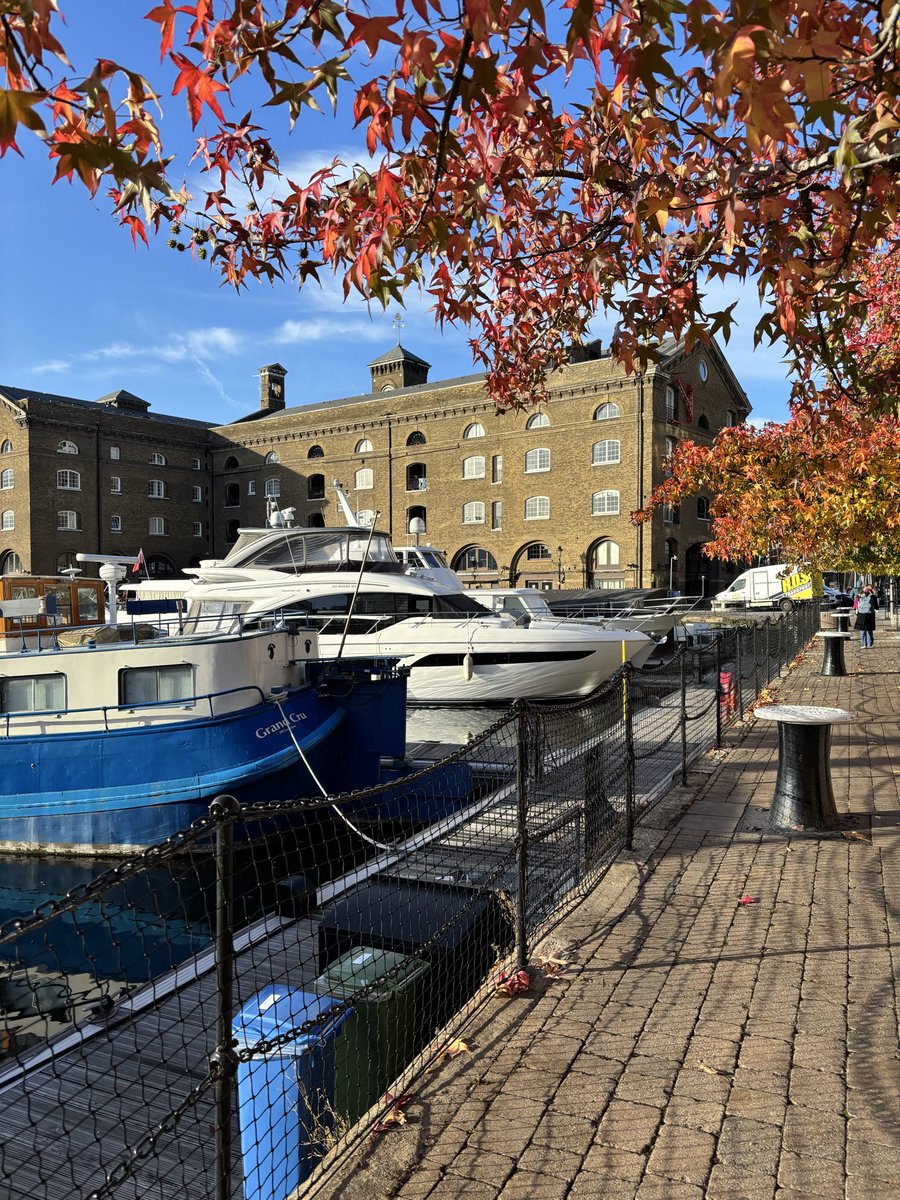 The colours of autumn 🍂