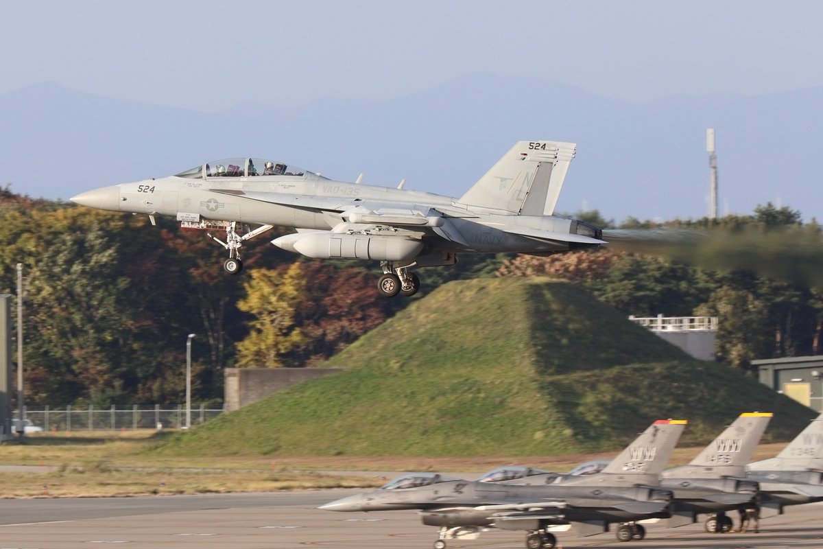 ⭐︎もも⭐︎ CCS 24AN momoko Azone Ex.」発売 | Information | PetWORKs