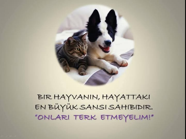 Biologiya uchun jinsiy olatni