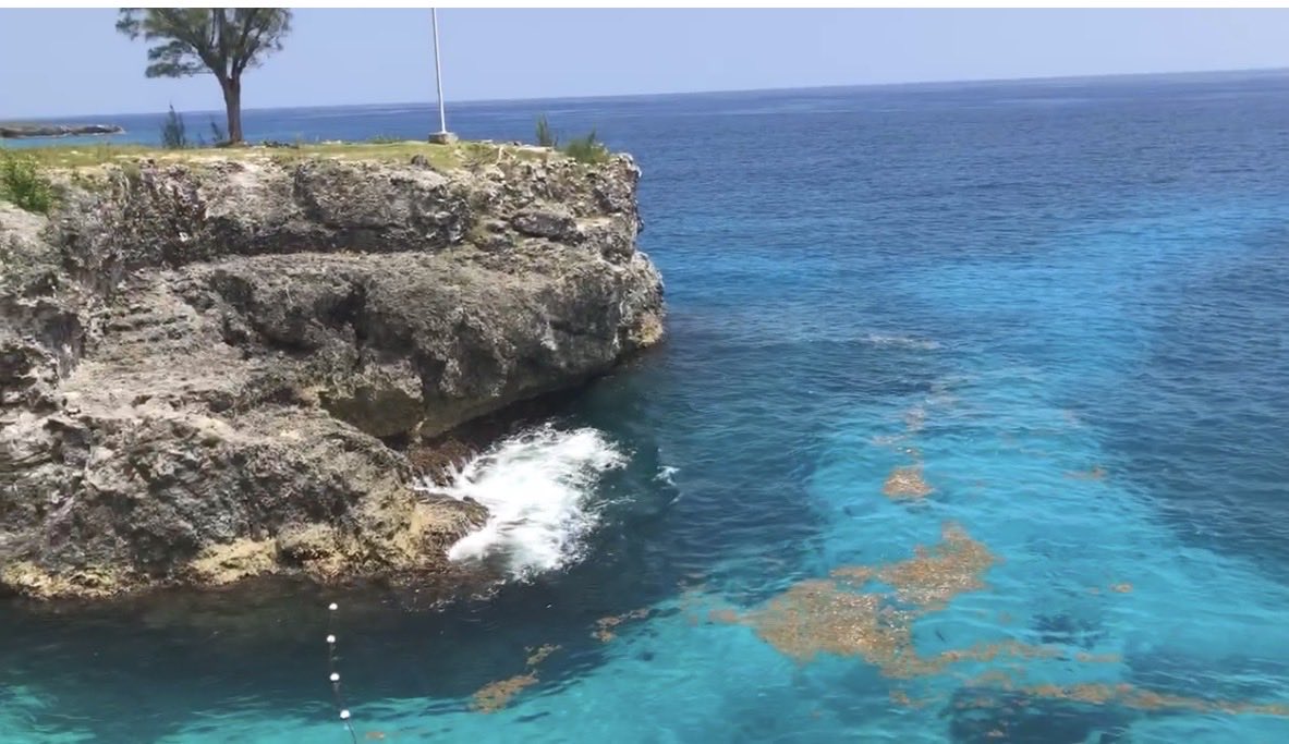 I’ve been a loyal <a href="/travalacom/">Travala.com 🏨 ✈️</a> user for over five years, and before I even snagged my first #travalaTiger, I was already finding amazing deals, cashback, and tons of other perks! #Travala8Wonders