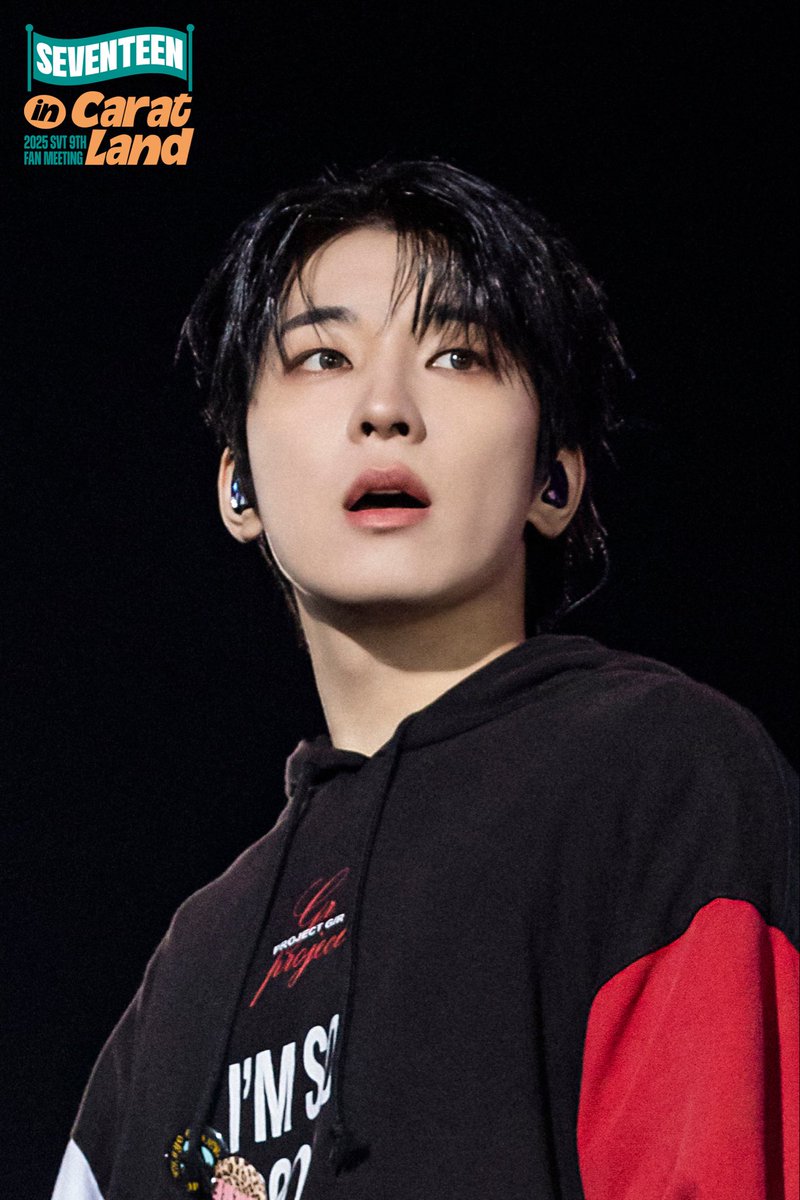 seventeen in caratland memory book preview cut - #wonwoo #원우