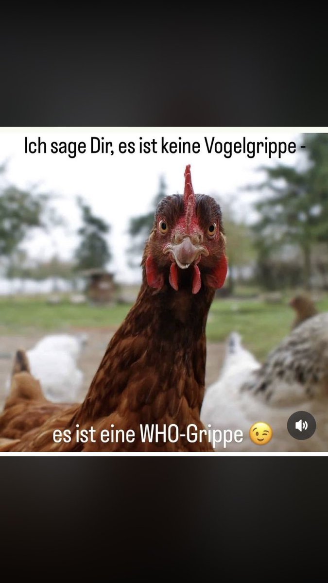 Jäck Däniels (@wahrheiten23) on Twitter photo 