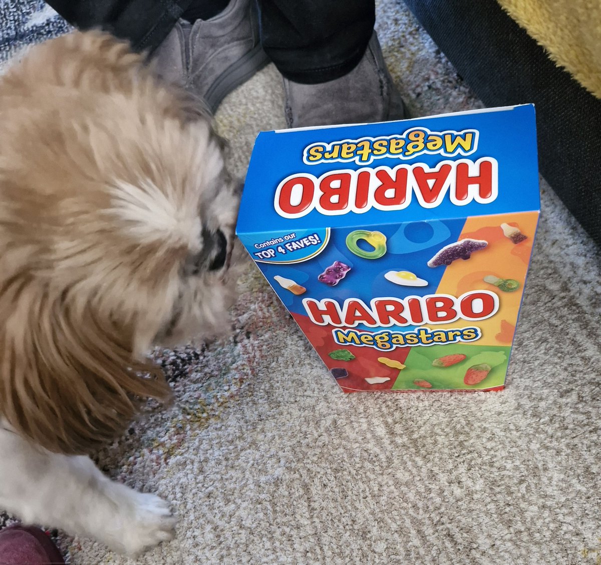 Bella🇬🇧 tweet media