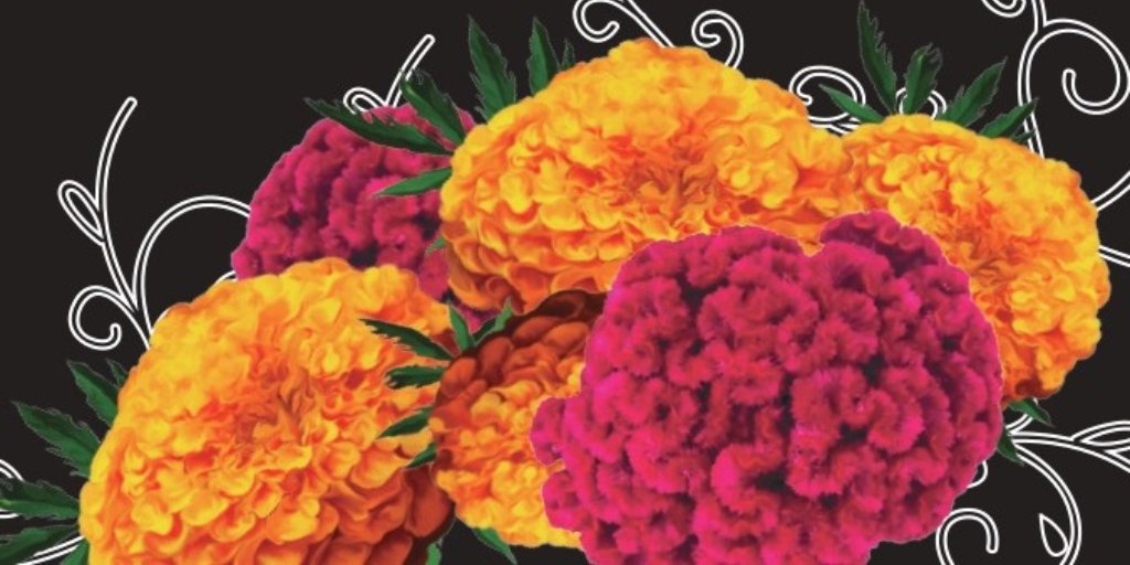 ❗️Hoy (19.00 h) arrancamos nuestro Programa "La Muerte Viva: México en España" con la inauguración de la Ofrenda Monumental de Muertos realizada en colaboración con <a href="/turismocdmx/">Secretaría de Turismo de la Ciudad de México</a> y la exposición "La muerte nuestra de cada día" en el ICME.

bit.ly/3WegU0x

#DiaDeMuertos