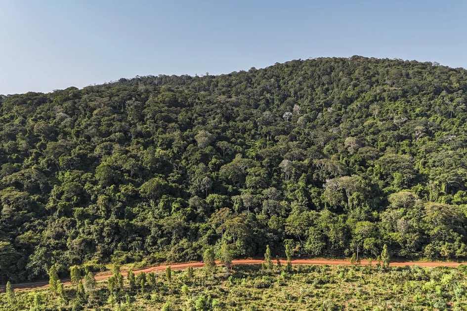 polo_kimanii's tweet image. For those who claim they had no idea the amount of rare earth minerals that lie in kenya,especially on the coastal region heres a Small briefing. 
You first need to understand what rare earth are,they are metallic elements naturally formed in the ground and are used in modern…