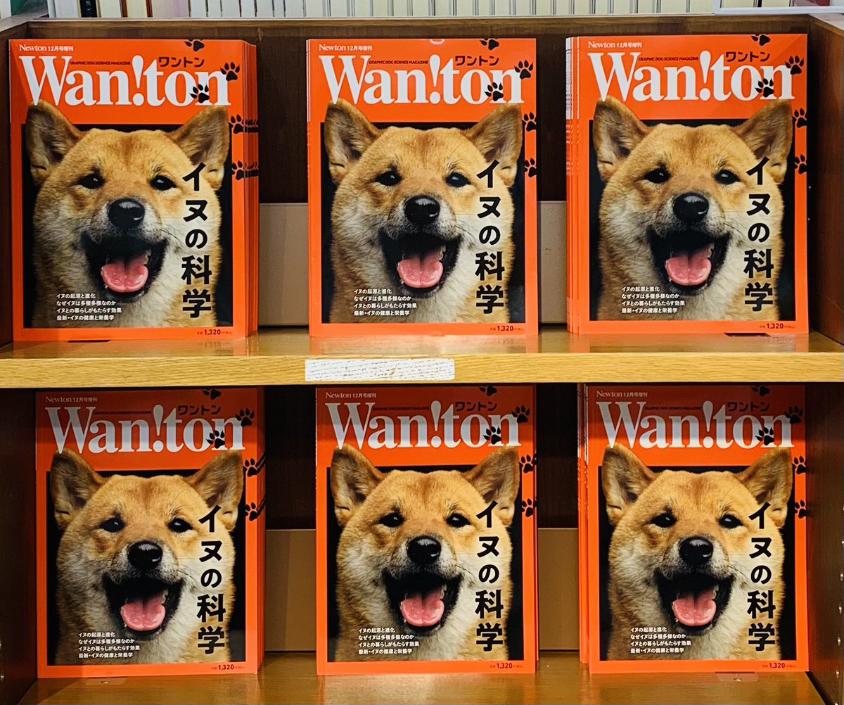 THE AMERICAN COLLEGE DICTIONARY 紀伊国屋書店 紀伊國屋書店 新宿本店 on X