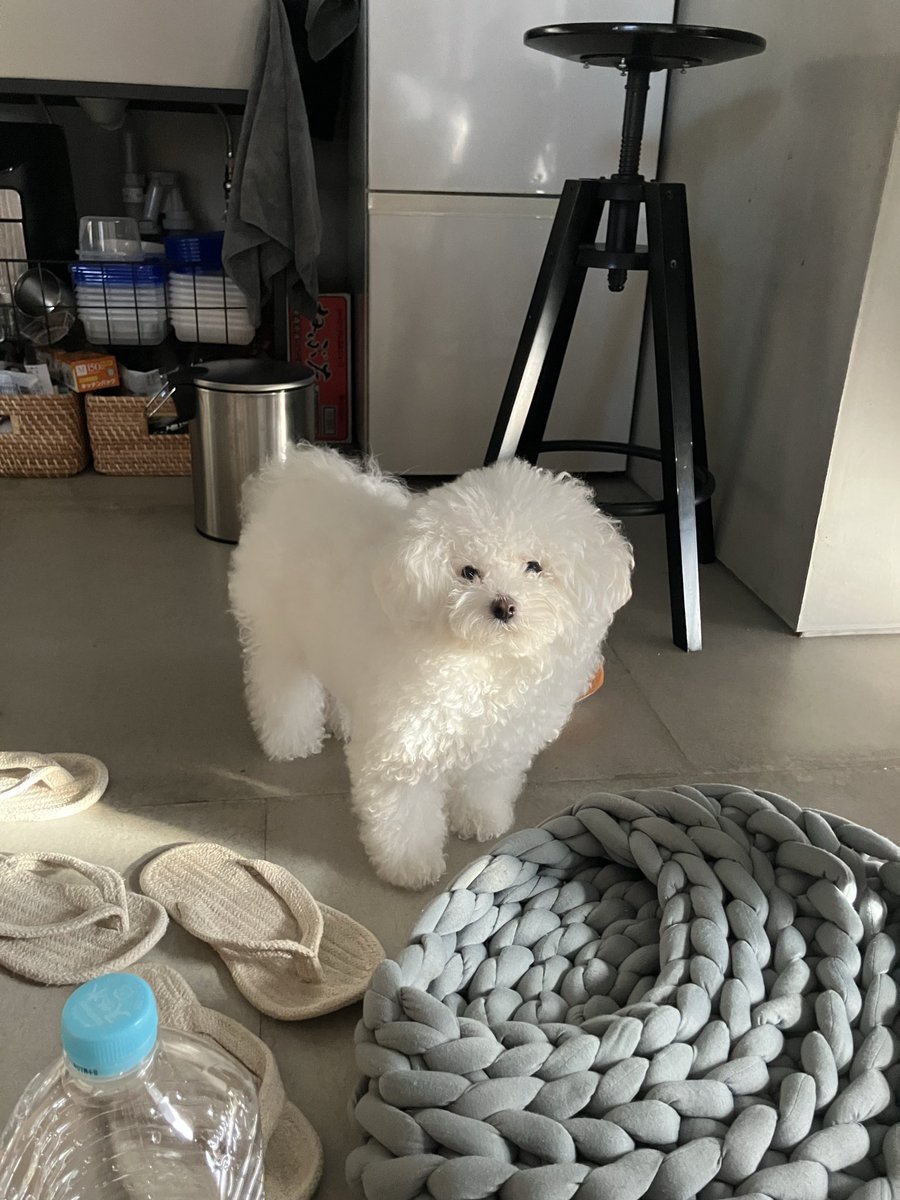 みるきー (@milkyma2) / Posts / X