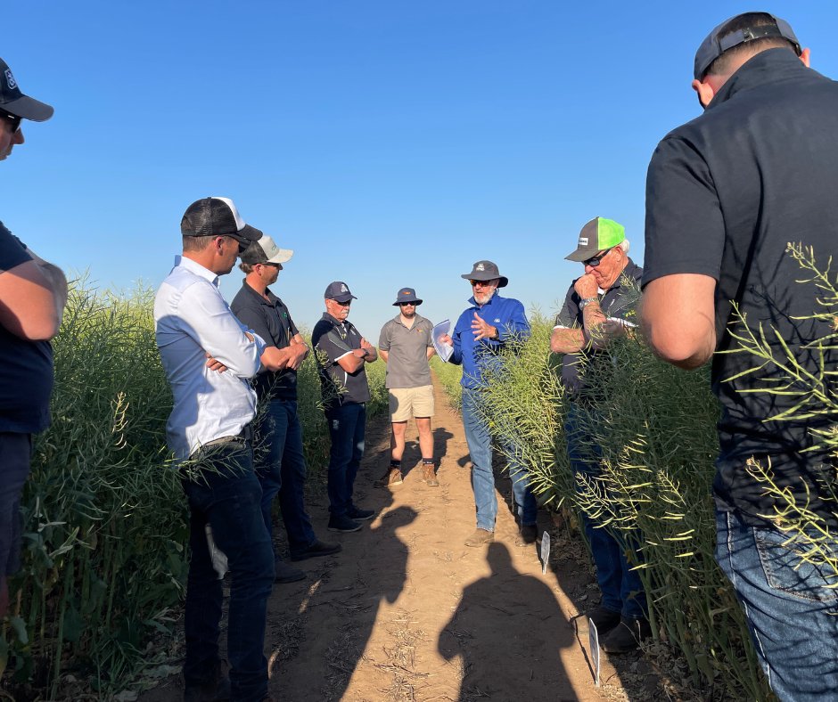 Pioneer® Territory Sales Manager Lisa Furey, along with Farm Services Consultant Rob Bagley and Technical Support Officer Peter Bostock, held a field walk at the York STRIKE and Phenology site in WA for a group of independent agronomists. The group of eight travelled to the field
