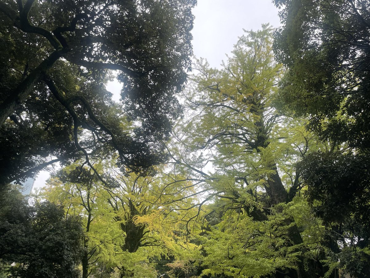 昨日は、島尻先生主催の
神ログで、赤坂氷川神社へ

昨日は特別ない神ログになった！
みんなの運気も上がるし、島尻先生のスピリチュアル能力高まりまくりです

#神ログ #島尻淳
#奉納王子
#赤坂氷川神社
#愛