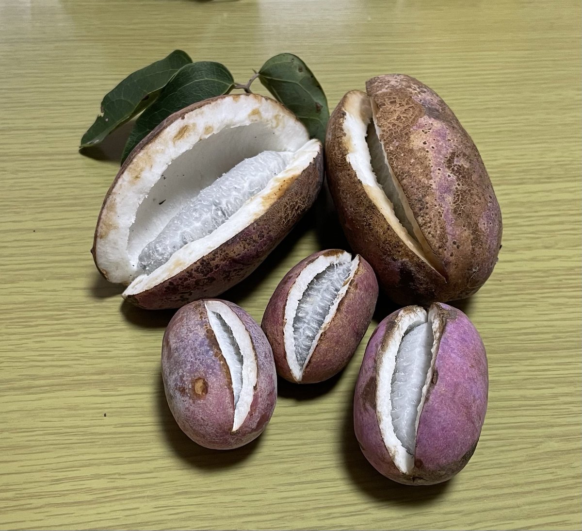 しのぶページ 胡蝶しのぶ (鬼滅の刃) Antyyy (Antyyy's Papercrafts) による