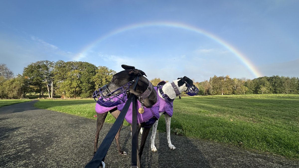 Fire’s Brigade tweet media