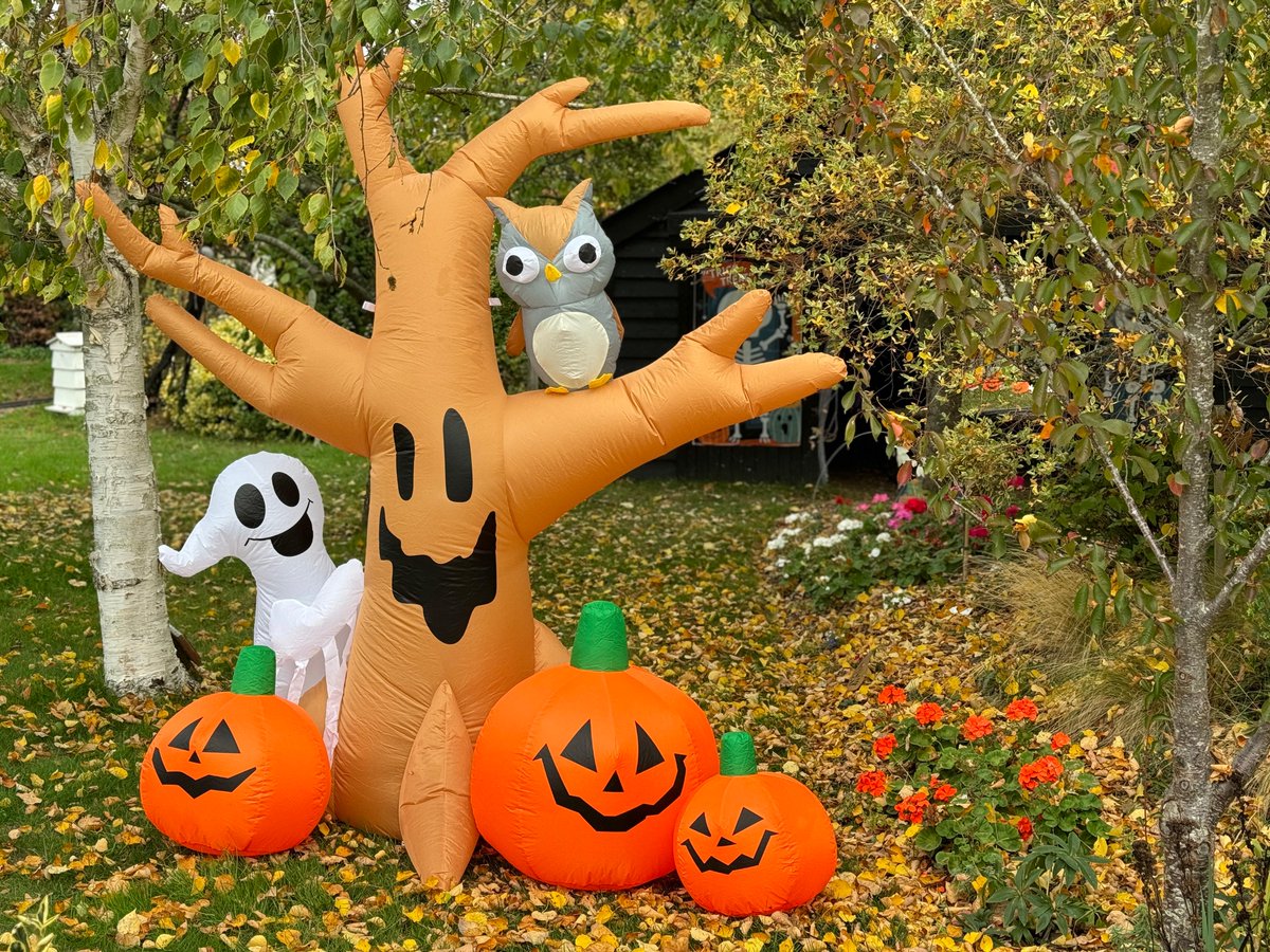 Have you had a go on our Halloween train yet? It's running throughout the half term, alongside our trail!