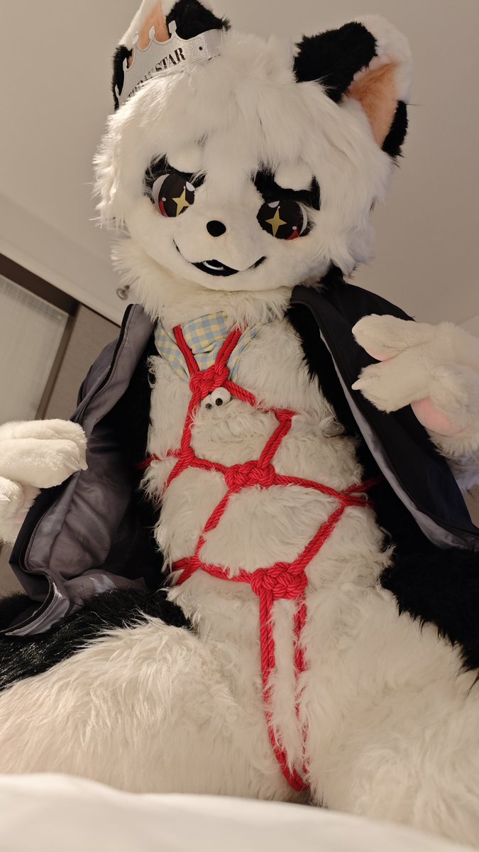 EightKitte76419's tweet photo. 好喜欢这种表面可爱老实拉开衣服后却是烧🔥的反差感 https://t.co/arhy3mMnpw