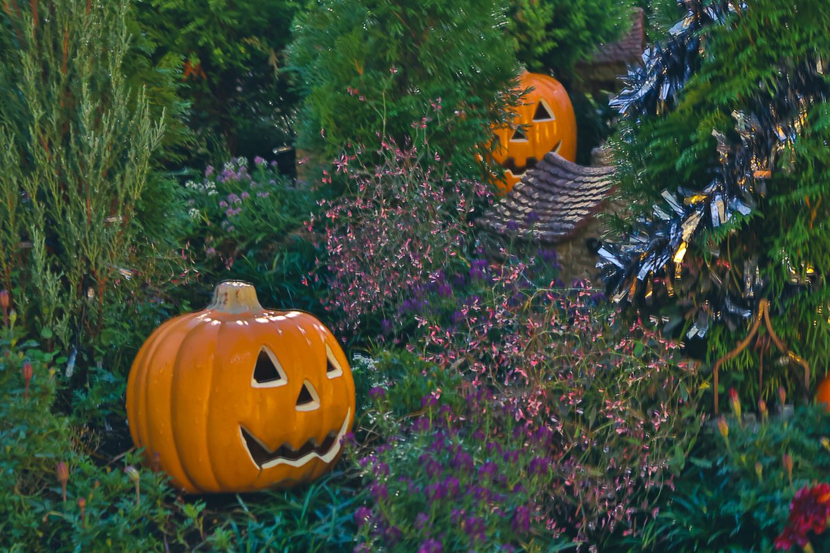 💰💵ギャルルン💵💰 on X