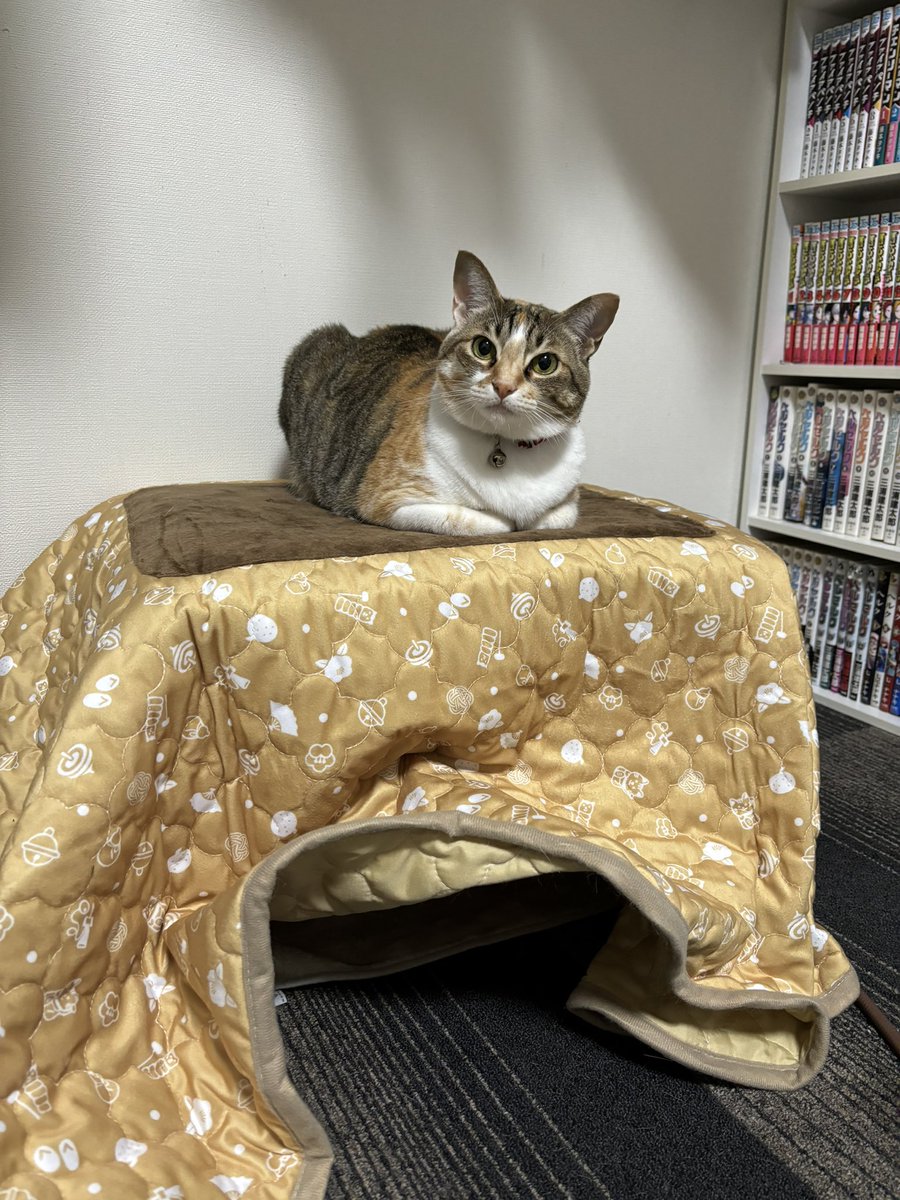 ❤︎ページ なぎページ ひなページ なぎページ やなぎ ZX｜製品紹介｜YASAKA株式会社