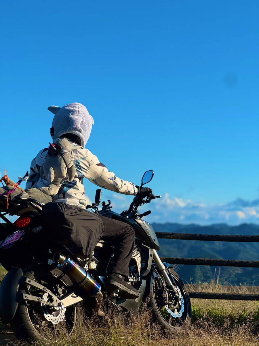 サメライダー ｷﾝﾄﾝ🦈 on X