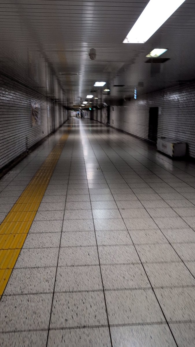 ユッキーさん専用① ユッキー😼│東京♂ on X