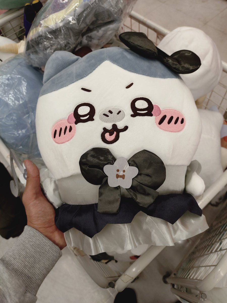 kawaiです katou@ちいかわ痛バイク🏍 on X