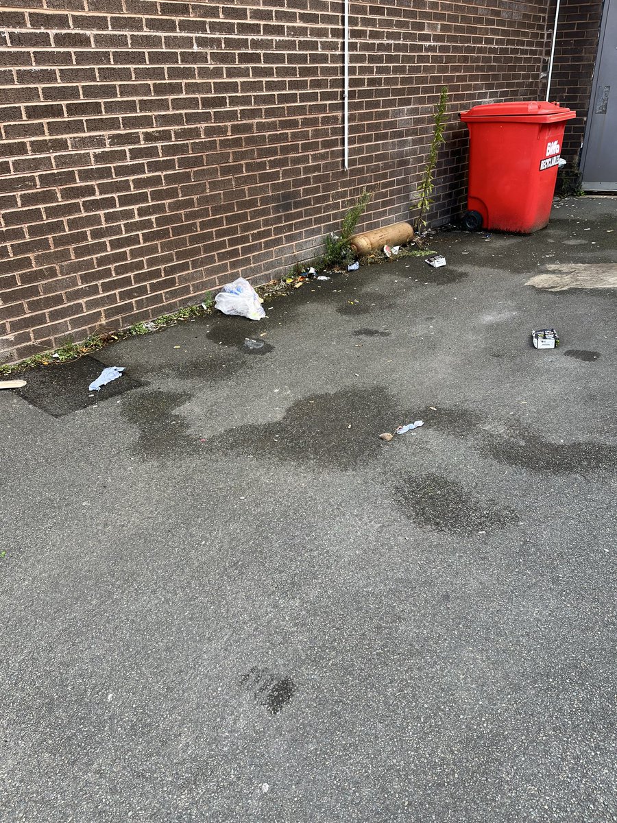 Not only do I have to pick up <a href="/CostaCoffee/">Costa Coffee</a> litter outside the front of my shop, the rear of my shop is littered with their waste from overflowing bins!