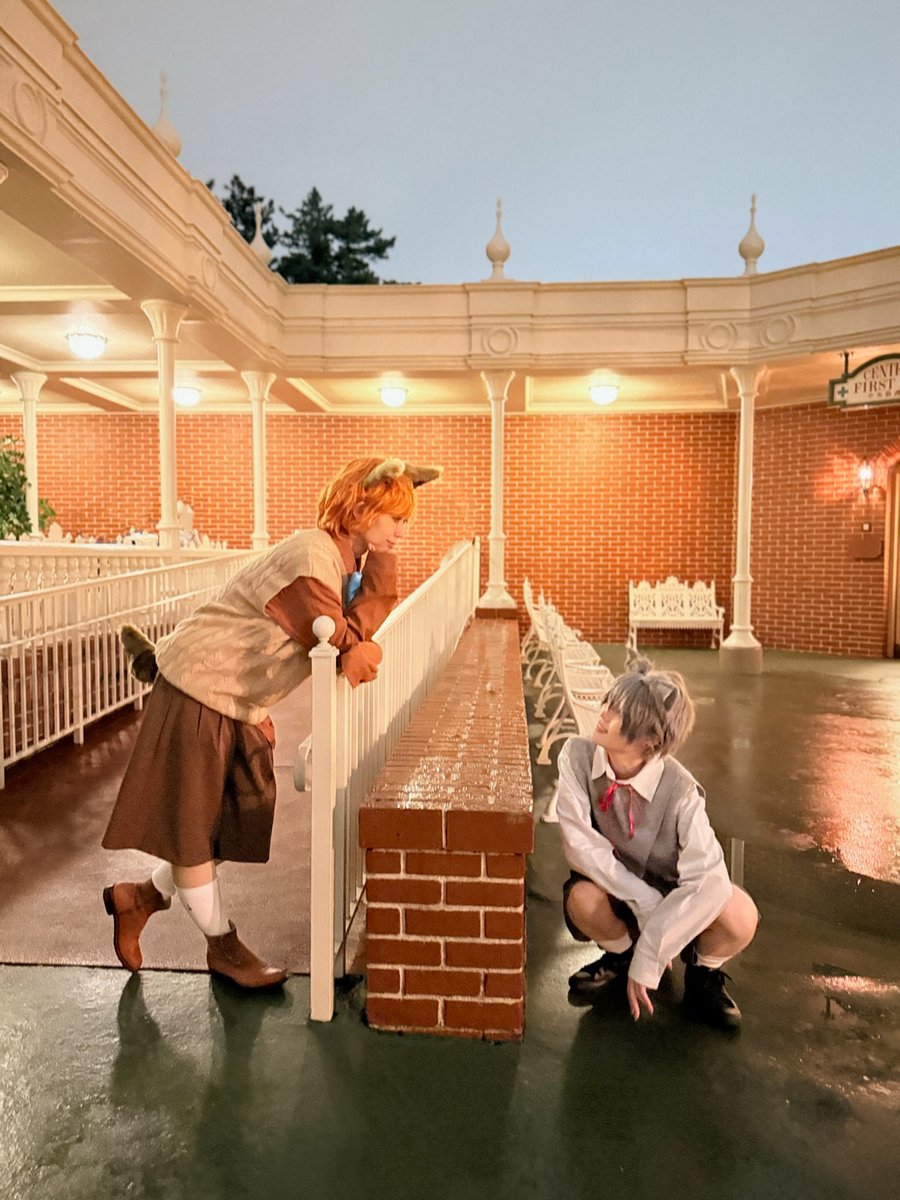 pypymrr's tweet image. 2022← →2025
🐱🐱🐱
#Dハロ仮装2025 
#Dハル