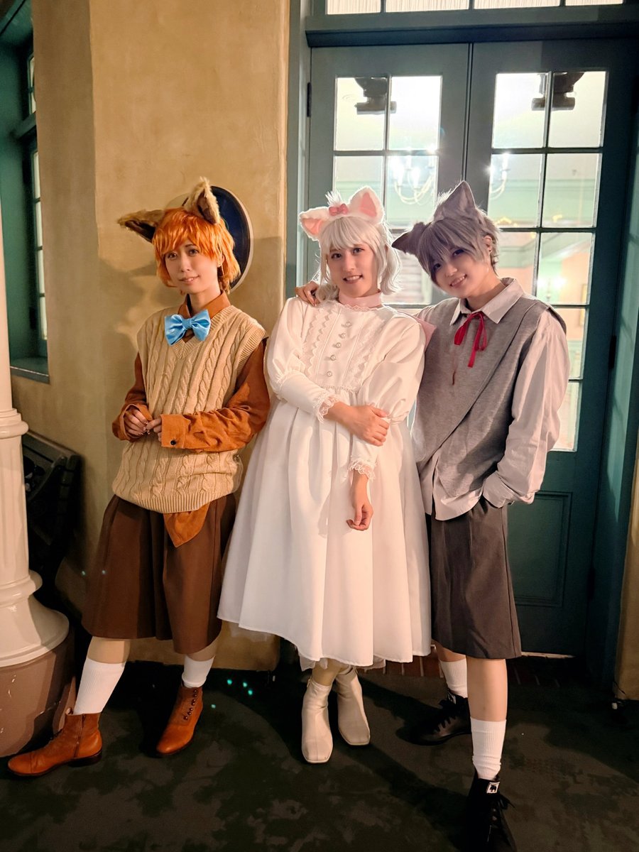 pypymrr's tweet image. 2022← →2025
🐱🐱🐱
#Dハロ仮装2025 
#Dハル