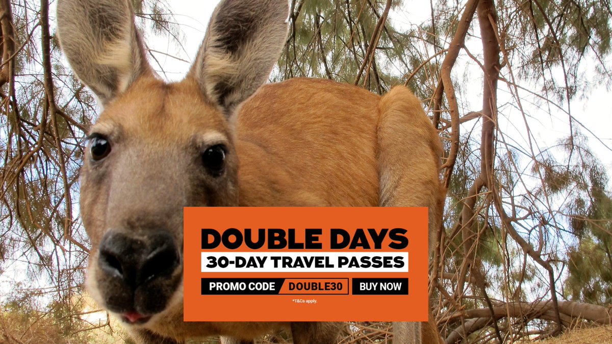 Get 60 days of travel for the price of 30 with our Double Days SALE! 

⏰HURRY, offer ends 3 November 2025  
🎟️bit.ly/DoubleDays30 

#TravelSale #Australia #Backpackers #TravelPass