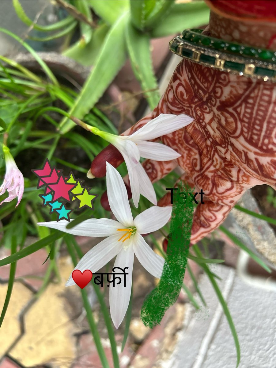 A_shiv_ki_ganga's tweet image. Absolutely no filter, no edits, no AI..
#theme_pic_India_flowers