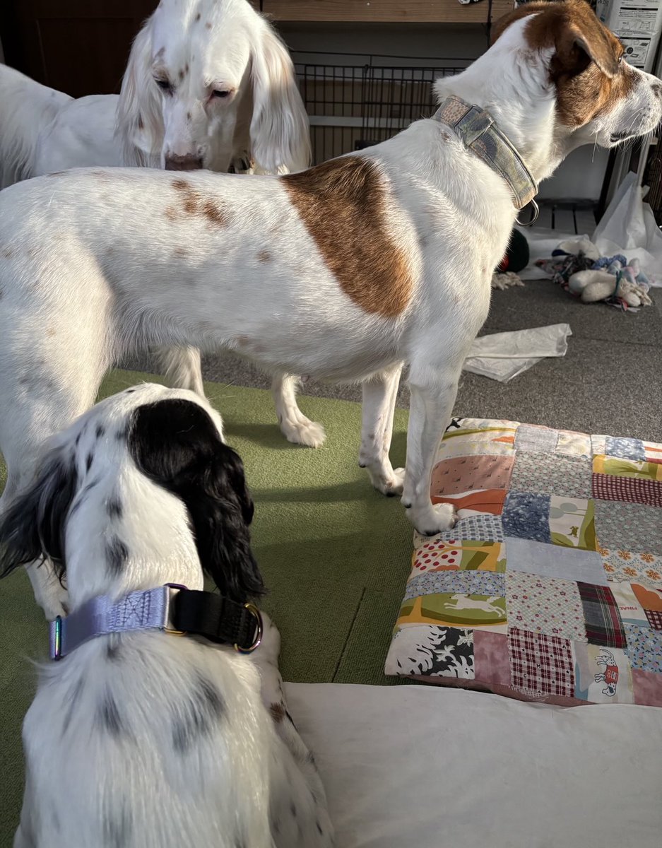 めるも「ボク うぃん、弟はエア 妹はエイル よろしくね