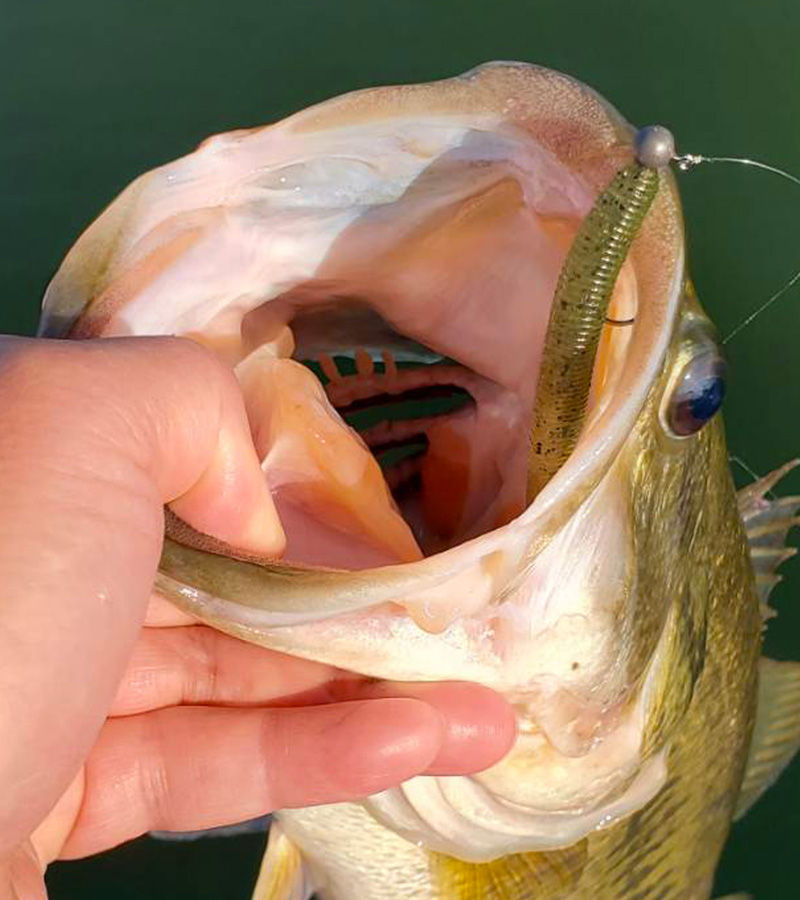 KEITECH_Inc. 株式会社ケイテック on X