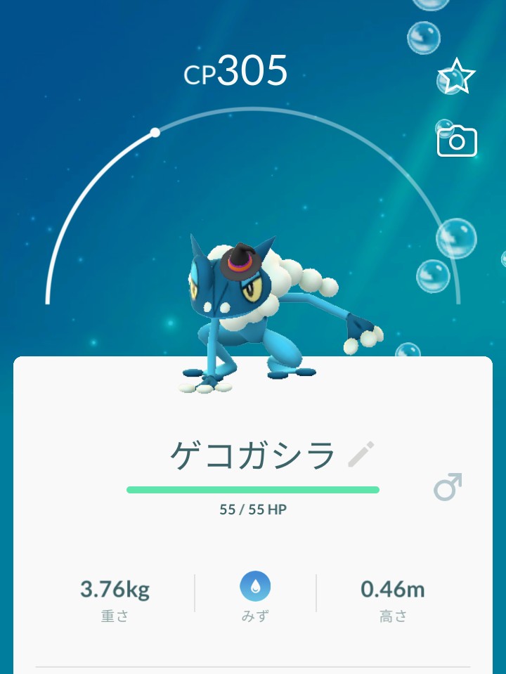 虎*様 ポケモンカード ex メガ break V sr タッグチーム含む100 虎【虎