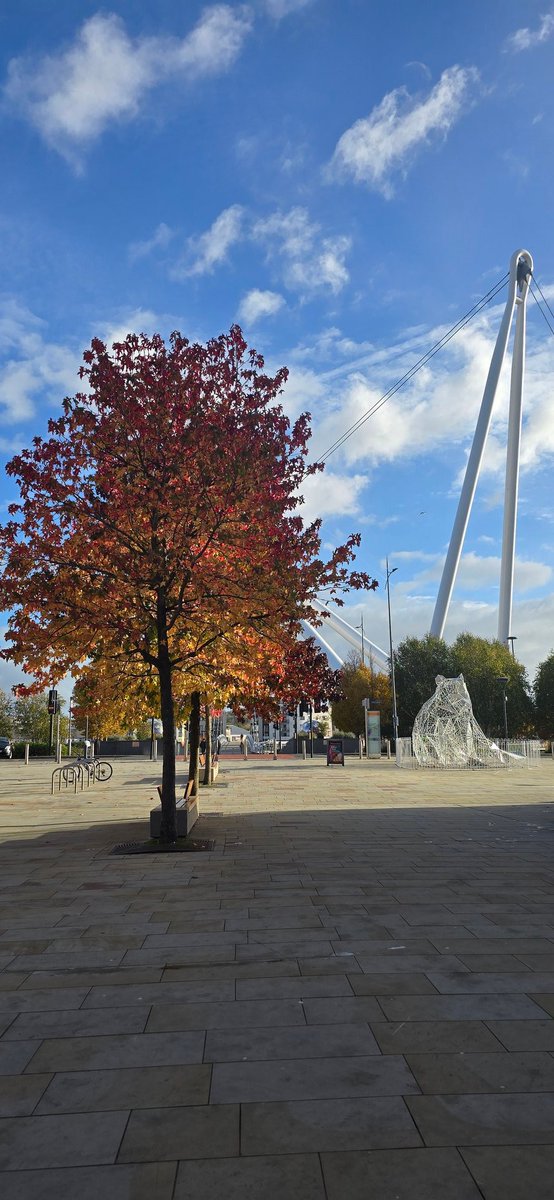 Glorious morning in the port today. Looking forward to our <a href="/wisekids/">WISE KIDS</a> workshops with young people #digitalsmarts #digitalliteracy