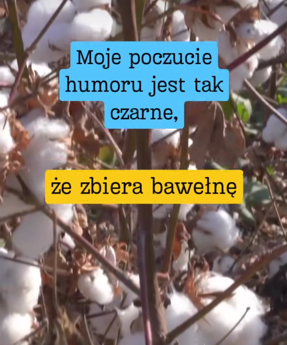 Zwłaszcza w poniedziałek!😁