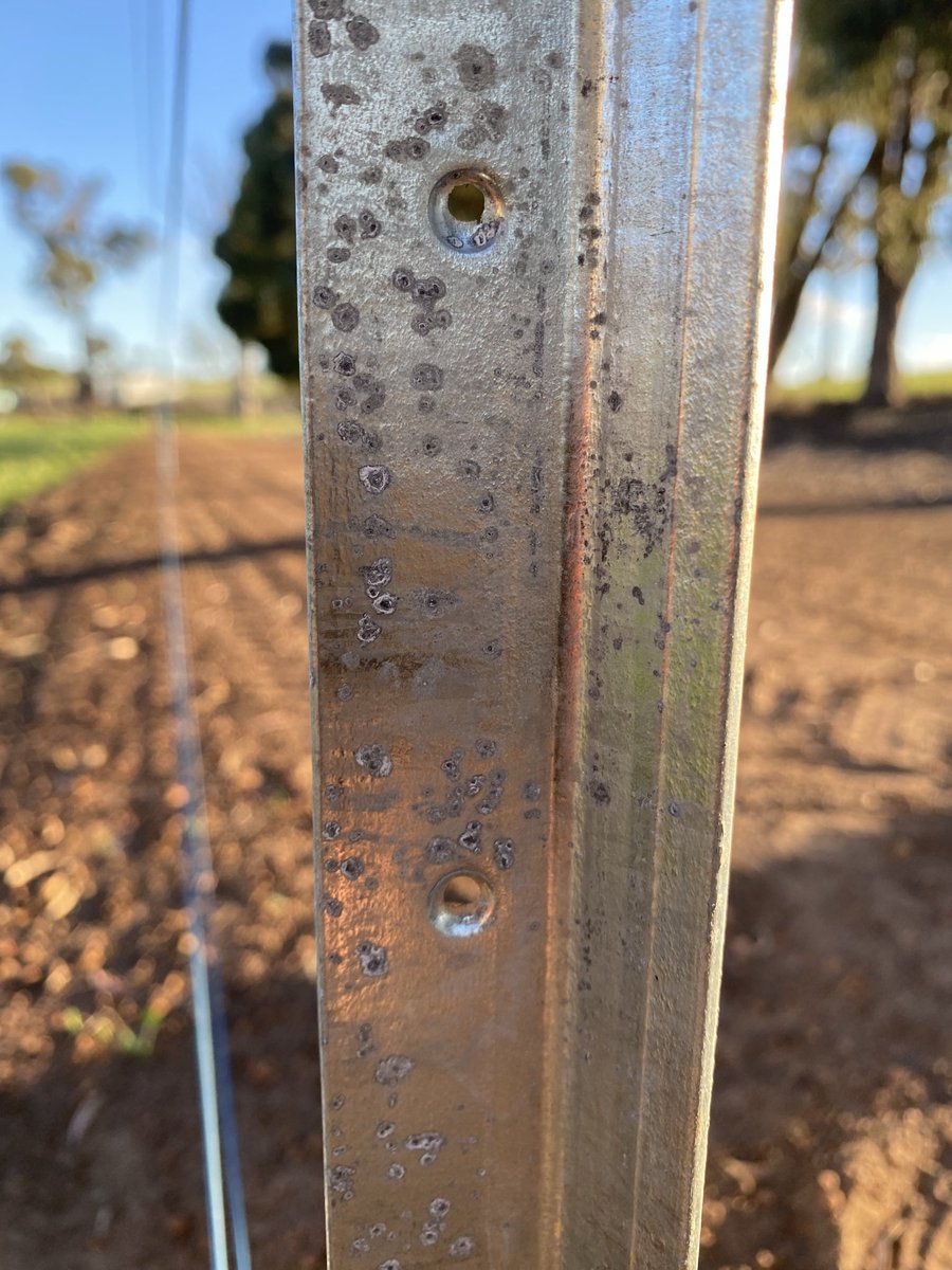 Are so called ‘good’ steel posts just as bad as the standard cheap posts? …having to drill out galv to put insulators on isn’t ideal.