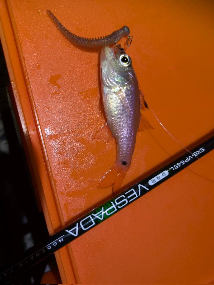 ◆ ひろぽん ヒロポン on X