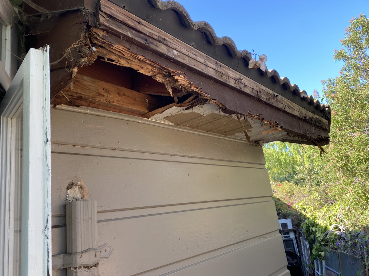 fscotthess's tweet photo. @tcboyle I know how annoying that is. I thought I’d let entropy rule until I died, but then I realized the house would fall on my head before I was dead. Had to fix it. Treated wood and pvc siding. Let the termites eat that! https://t.co/XWqbZPUTAM