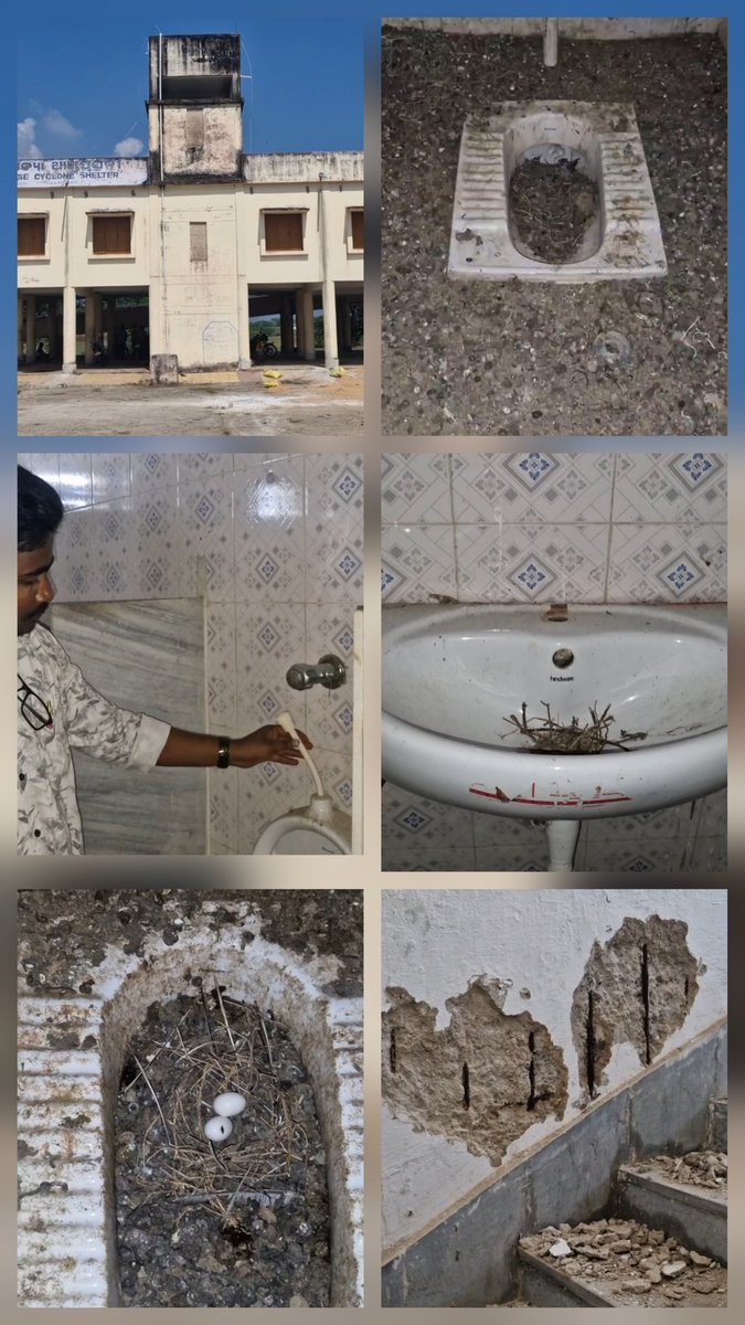 ରାଜସ୍ୱ ବିଭାଗ ୪ ମାସ ତଳେ ବାତ୍ୟା ଆଶ୍ରୟ ସ୍ଥଳୀର ମରାମତି ପାଇଁ ଟଙ୍କା ମଞ୍ଜୁର କରିଥିଲେ। ବାସ୍ତବରେ ଏମିତି ମରାମତି ହୋଇଛି। ଏକ ଟଙ୍କା ବି ଖର୍ଚ୍ଚ ହୋଇନି। ବାଲେଶ୍ଵର ଜିଲ୍ଲା ରେମୁଣା ବ୍ଲକ୍ ତାଳପଦା ବହୁମୁଖୀ ବାତ୍ୟା ଆଶ୍ରୟସ୍ଥଳୀ ର ଫୋଟୋ। ଏବେ ବାତ୍ୟା ଆସିବା ସମୟ, ଦେଖିବା କଣ ହେଉଛି।
<a href="/DBalasore/">Collector & DM Balasore</a> 
<a href="/rdmodisha/">Revenue & DM Department, Government of Odisha</a> 
<a href="/CMO_Odisha/">CMO Odisha</a>