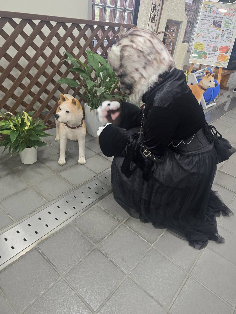 ぎん山猫＊ガラスの膝 on X