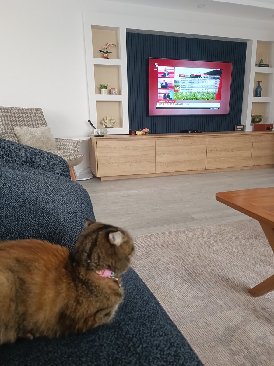 #tjktvyariszamani <a href="/hilalergenekon/">Hilal Ergenekon</a> 

Takibe devam tüm ekibe selam